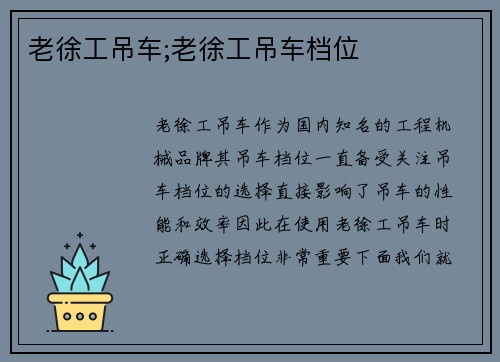 老徐工吊车;老徐工吊车档位